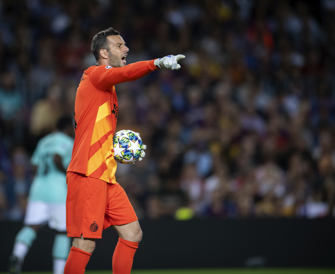 依靠踏实的 依靠踏实的