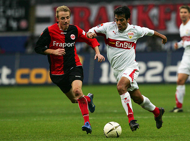 广泛赞誉的 广泛赞誉的